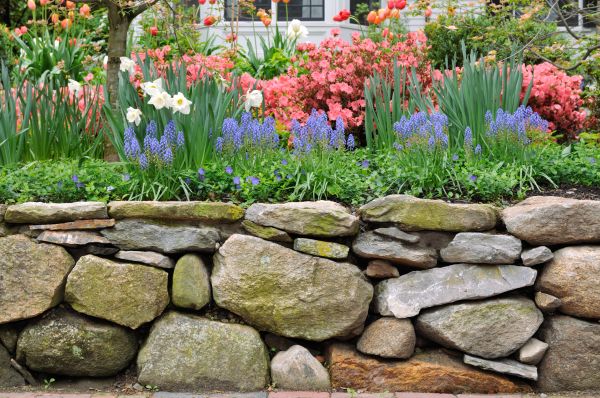 Stone Wall Hardscaping in Fairfax