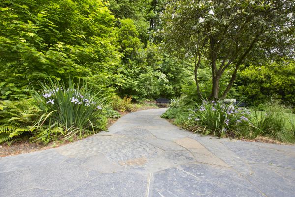 Stone Hardscape Service in Fairfax
